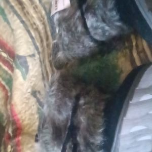 Women foot Wear luk EE's mukluks